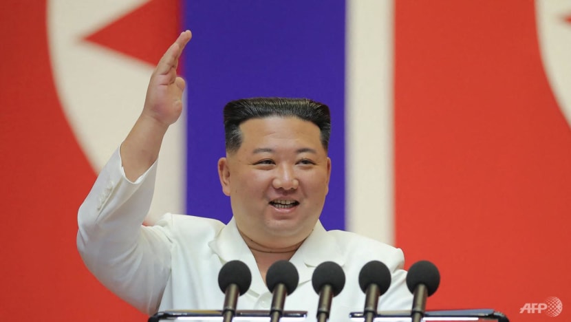 Commentary: North Korea’s nuclear programme is about Kim Jong Un, not a new law 3 000 32gr2p9