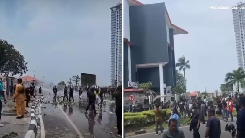 Indonesia police arrest 43 after riot in Batam over industrial park 