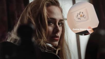 Adele's "Proudest Possession" Is A Framed Piece Of Celine Dion's Chewing Gum