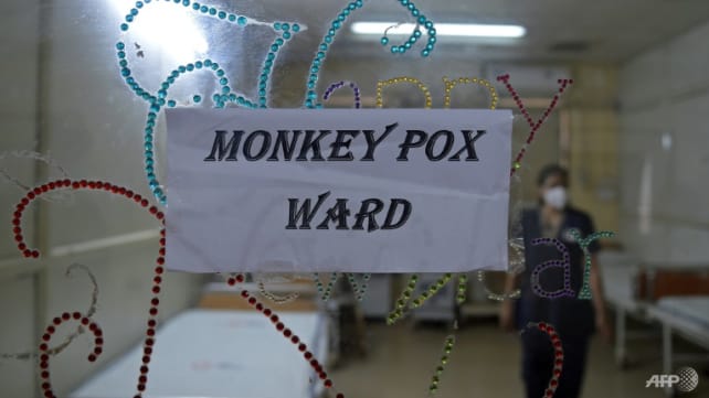 Commentary: Why doesn’t monkeypox have a new name yet?