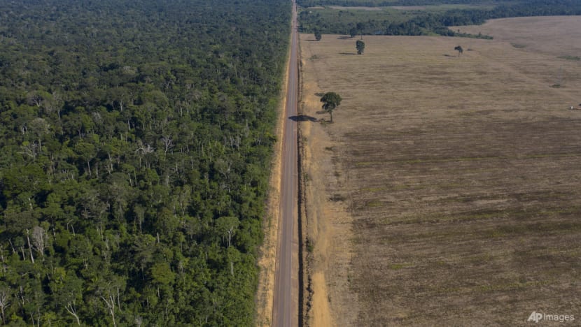 Spike in Amazon deforestation draws shock, ups pressure on Brazil