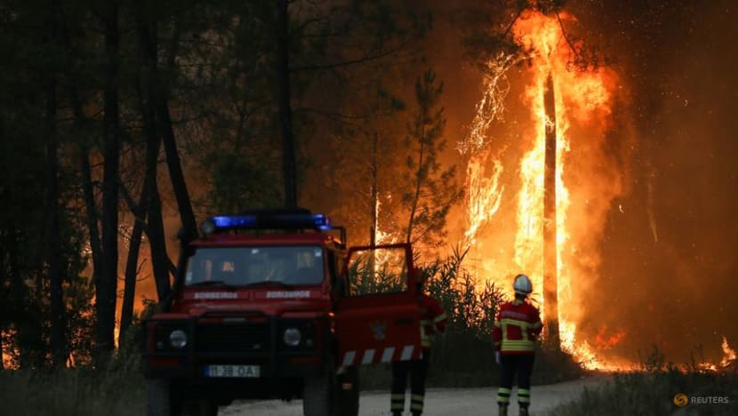Scorching heatwave sparks wildfires in Europe Scorching heatwave sparks wildfires in Europe