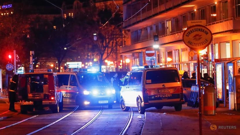 Gunmen kill five in 'terror attack' in Vienna, manhunt launched