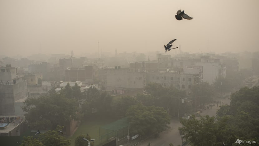 Indian capital's dangerous air ruins return to school as COVID-19 pandemic curbs eased Indian capital's dangerous air ruins return to school as COVID-19 pandemic curbs eased