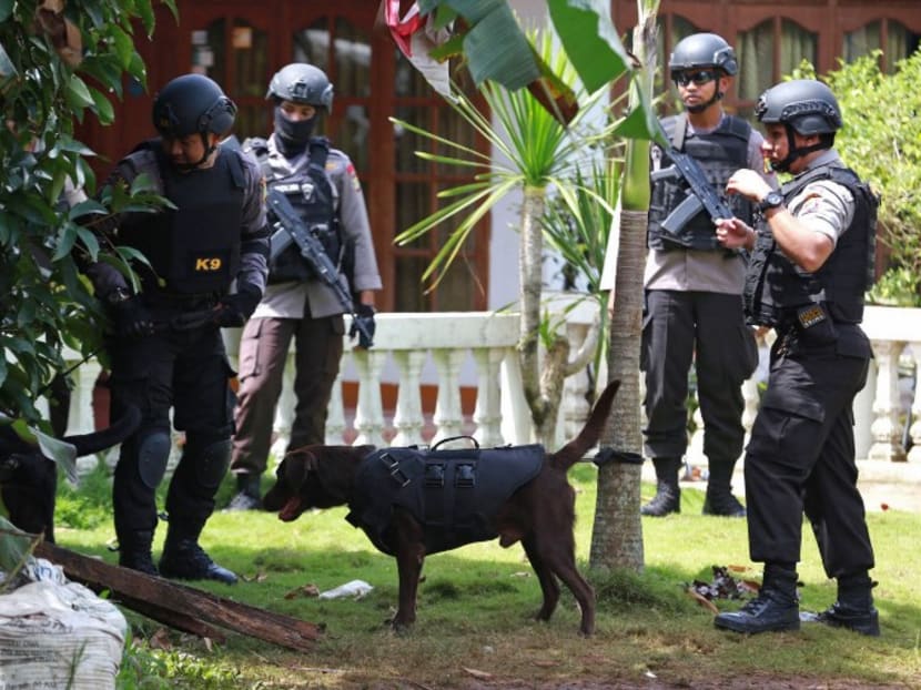 Indonesian anti-terror police using a sniffer dog to search for explosive materials at a house in South Tangerang, 25 km away from Jakarta, on Dec 21, 2016. An expert has warned that the Southern Philippines and the Sulu Archipelago could become breeding grounds for militancy as these areas lack government control. Photo: AFP