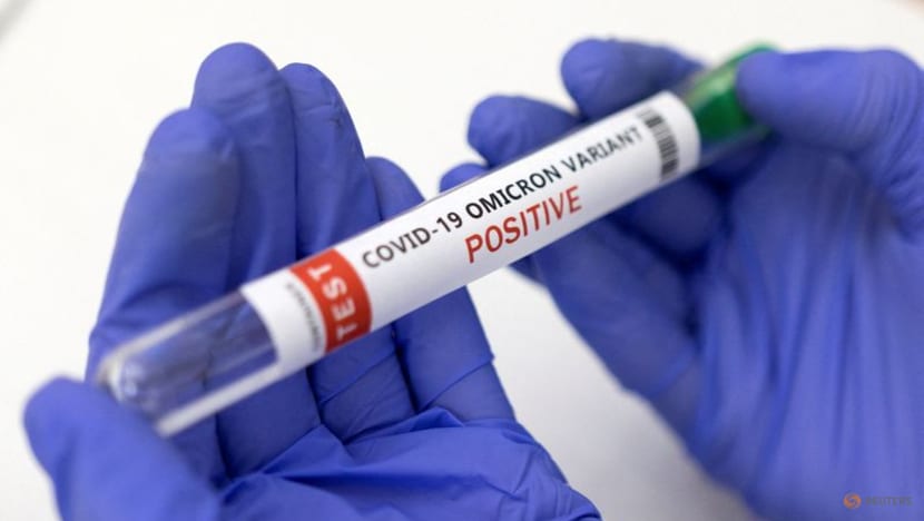 Omicron-specific booster may not be needed, US monkey study finds Omicron-specific booster may not be needed, US monkey study finds