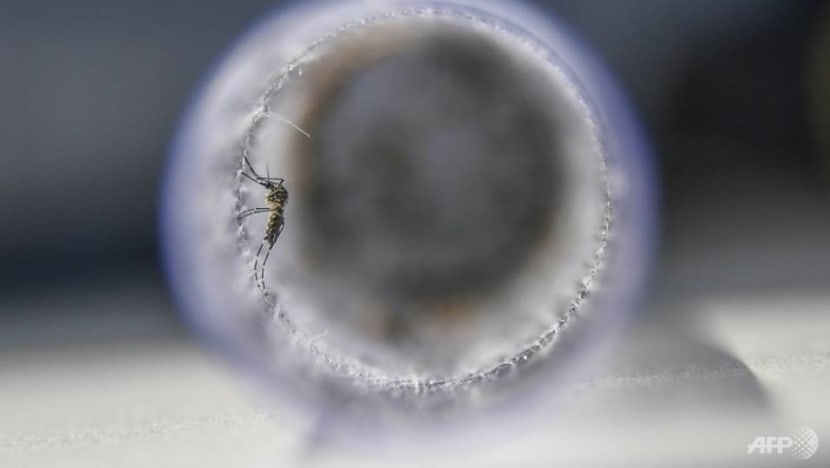 3 cases of Zika reported in Kovan 3 cases of Zika reported in Kovan