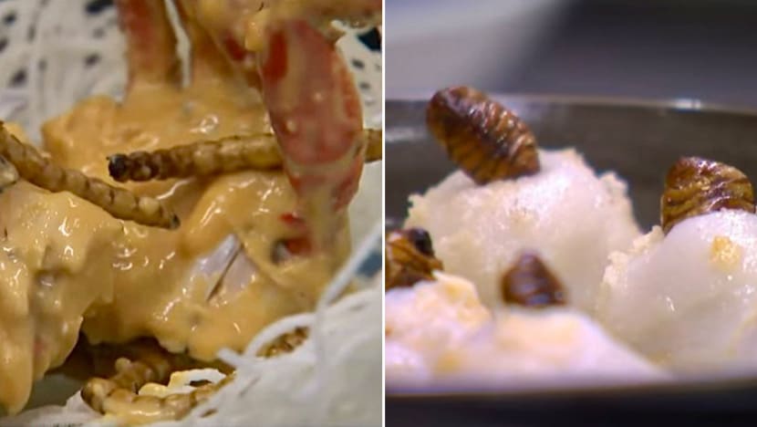 Eating Bugs In S’pore: Here Are The Nutritional Values Of Insects Like Mealworms, Crickets & Grasshoppers