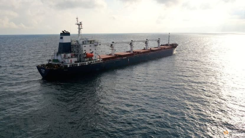 First Ukraine grain deal ship docks in Turkey after Lebanese buyer refused delivery First Ukraine grain deal ship docks in Turkey after Lebanese buyer refused delivery