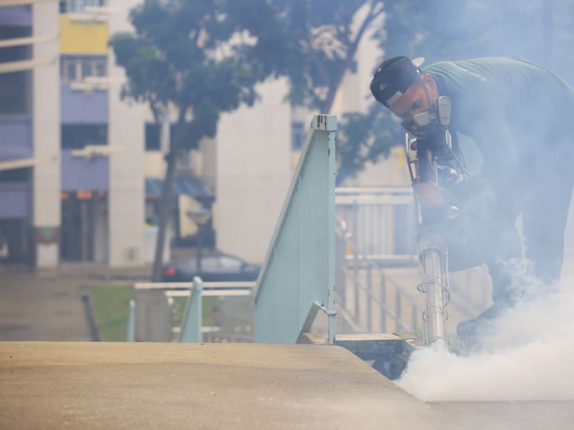 Fogging going on at Bishan. TODAY file photo. Fogging going on at Bishan. TODAY file photo.