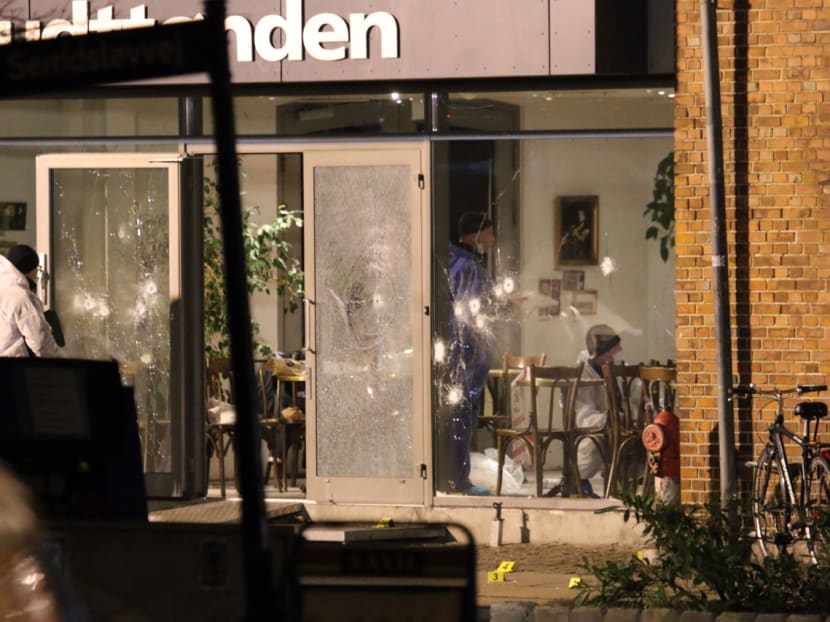 Artist believes he was intended target in Copenhagen attack
