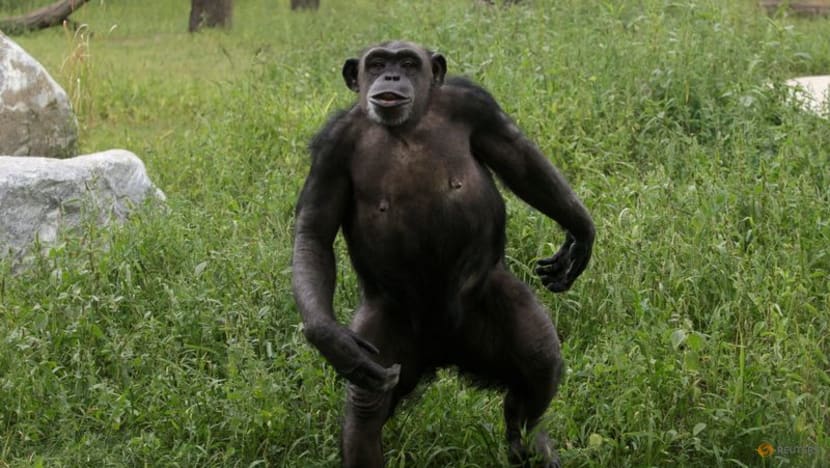 Pivotal evolutionary change helped pave the way for human speech Pivotal evolutionary change helped pave the way for human speech