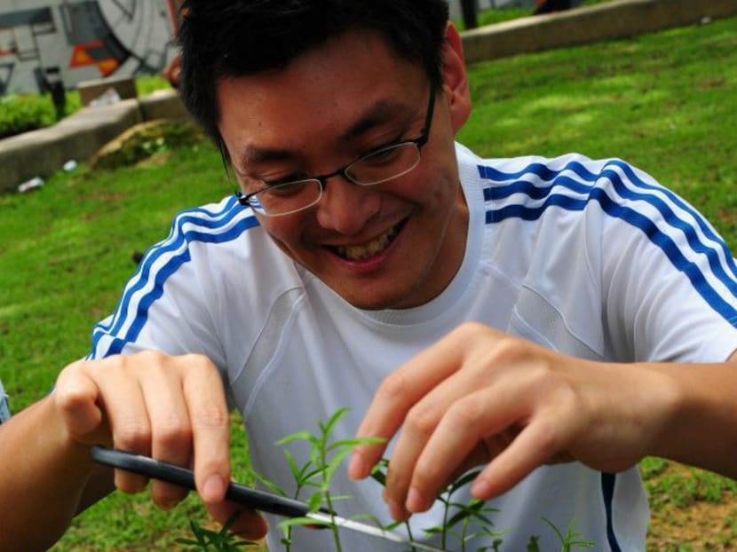 From garden city to urban farmland