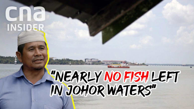 Talking Point 2022/2023: Why fish prices are rising because of climate change