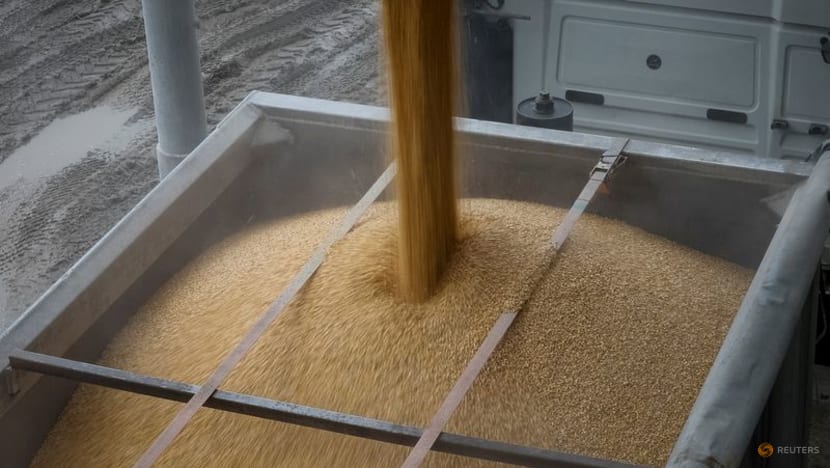 Russia, Ukraine, Turkey and UN to discuss grain deal on Friday Russia, Ukraine, Turkey and UN to discuss grain deal on Friday