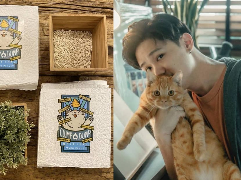 Cat Lover Chen Xi’s New Business Venture Is Selling High Quality And Affordable Cat Litter