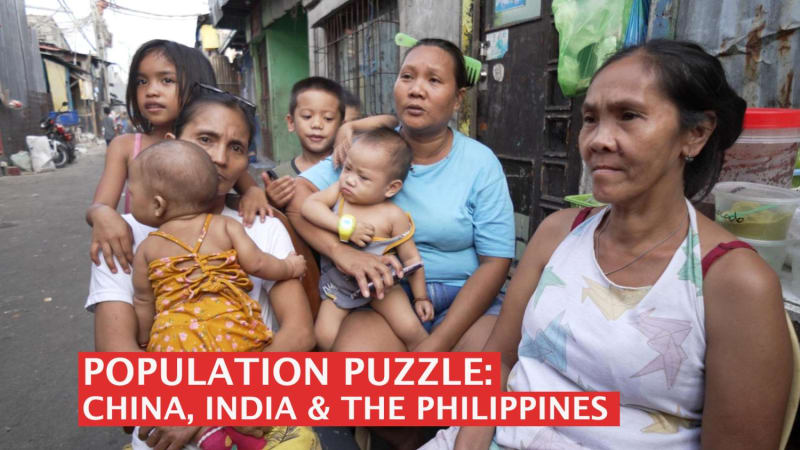 Population puzzle