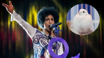 Prince’s White Dove Divinity Has Died At The Age Of 28