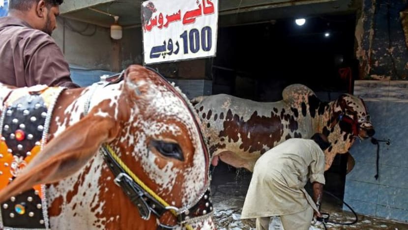 Pusat cuci kereta bertukar tempat bersihkan haiwan korban di Pakistan