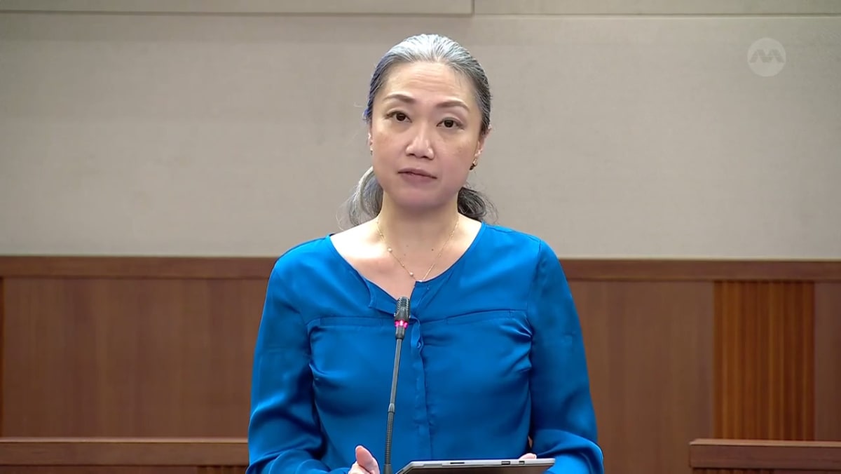 Committee of Supply 2024 debate, Day 5 Carrie Tan on caregiver support