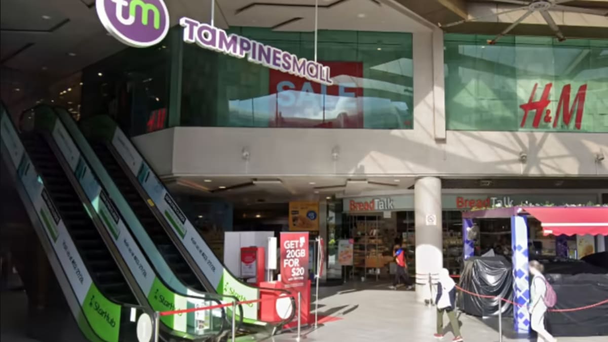 Capitaland Retail Management fined S$24,000 after cleaner dies falling through Tampines Mall false ceiling - Vimarsana News