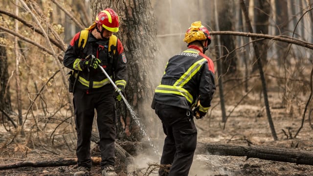 法国南部森林野火再起 1000人被迫疏散