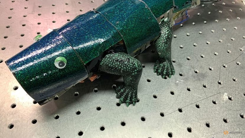 South Korean researchers create chameleon-like artificial "skin" South Korean researchers create chameleon-like artificial "skin"