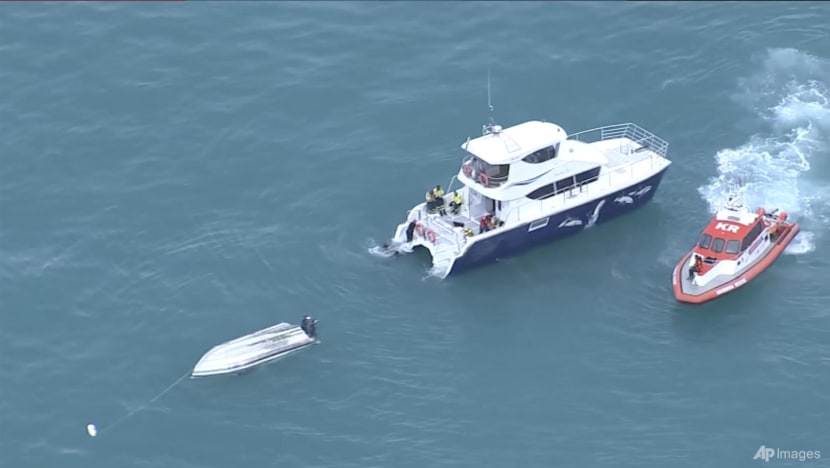 Five dead after New Zealand boat reportedly collides with whale
