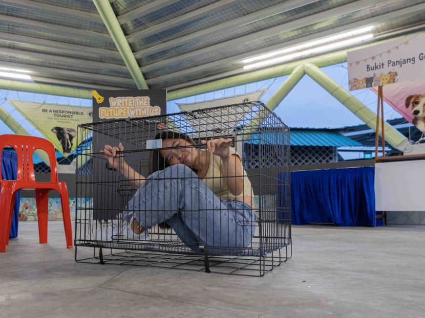 TODAY reporter Gladys Wee trying to fit into a small animal cage during a preview of the "SPCA Pawsome Party" on May 26, 2023.