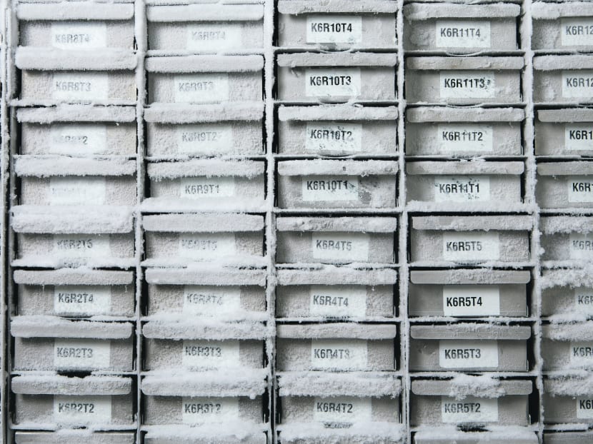 S’pore lab’s cell storage service could save lives