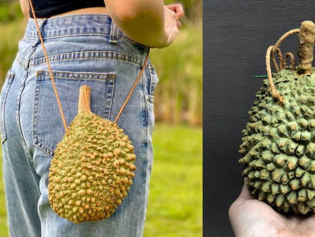 There Are Durian Bags For Sale Online And They Look Just Like The Real Thing