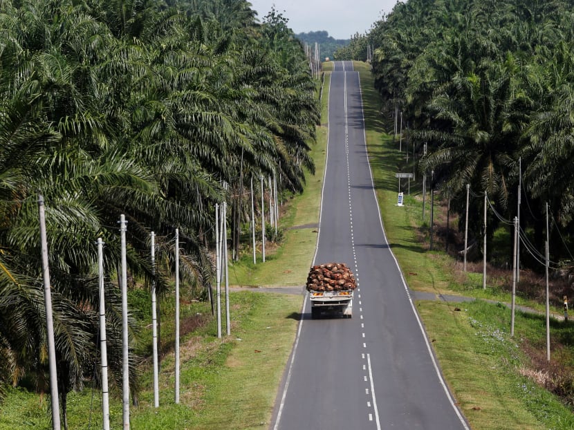 A truck carrying oil palm fruits passes through Felda Sahabat plantation in Lahad Datu in Malaysia. Reuters file photo