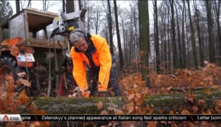 Demand for firewood amid energy crisis raises concerns for Europe's forests | Video