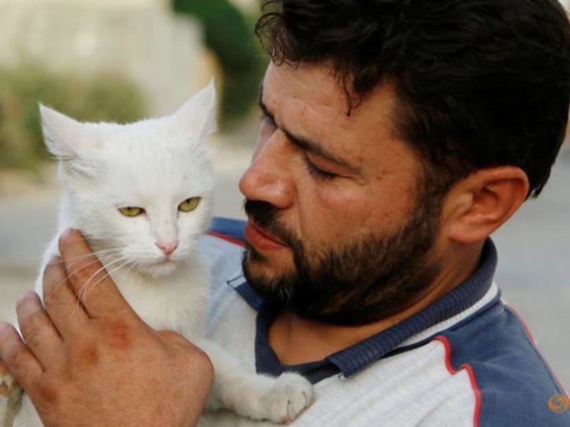 The feeding of the one thousand: Idlib sanctuary offers cats a refuge from war The feeding of the one thousand: Idlib sanctuary offers cats a refuge from war