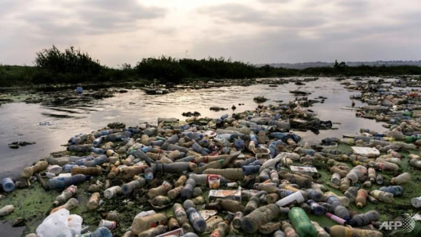 The eco-entrepreneurs waging war on plastic pollution in oceans The eco-entrepreneurs waging war on plastic pollution in oceans