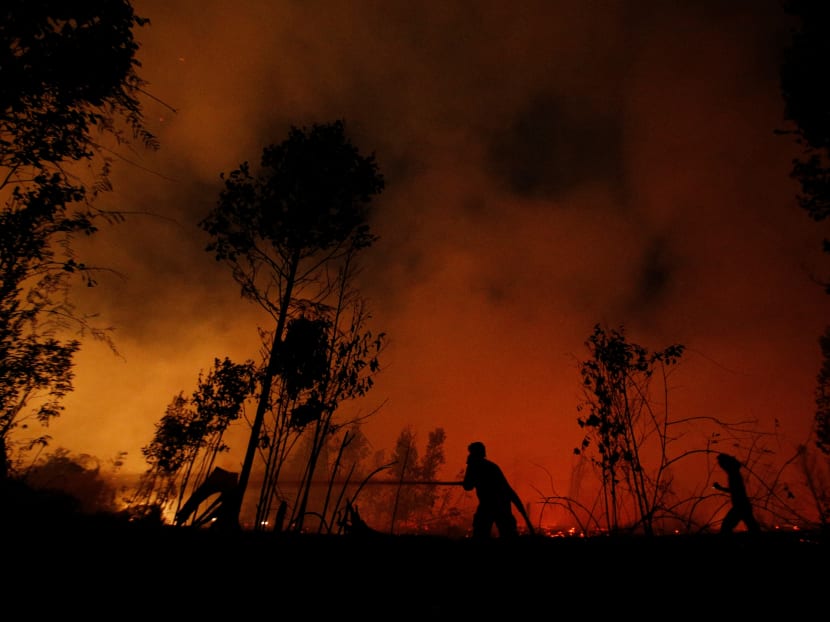 Firefighters try to extinguish forest fires at Sebangau National Park area in Palangka Raya, Central Kalimantan province, Indonesia, Sept 14, 2019.
