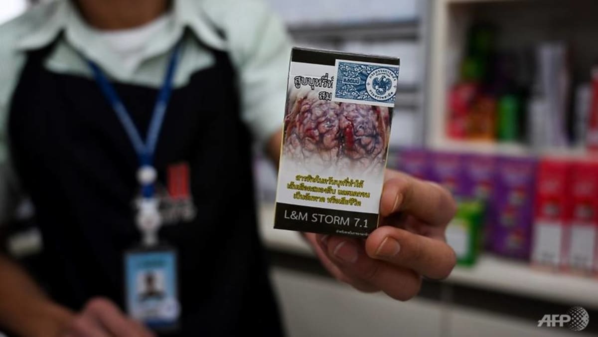 Thailand first in Asia to roll out plain cigarette packaging CNA