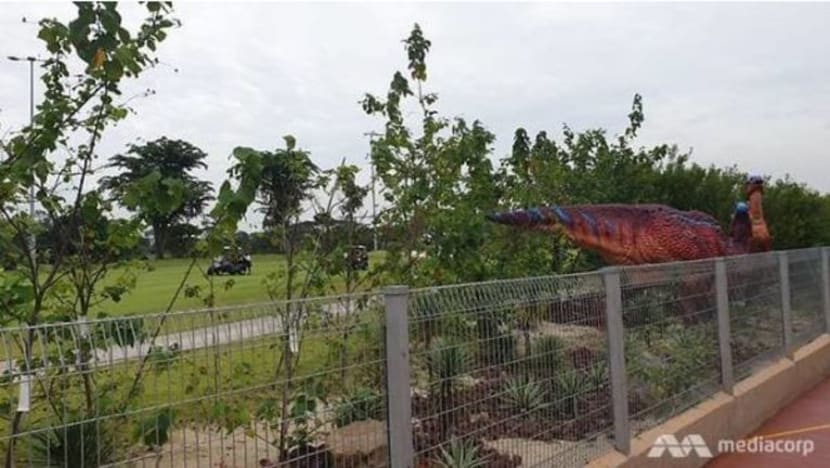 Cari jalan kurangkan 'bola golf sesat' setelah pengunjung cedera di Changi Jurassic Mile