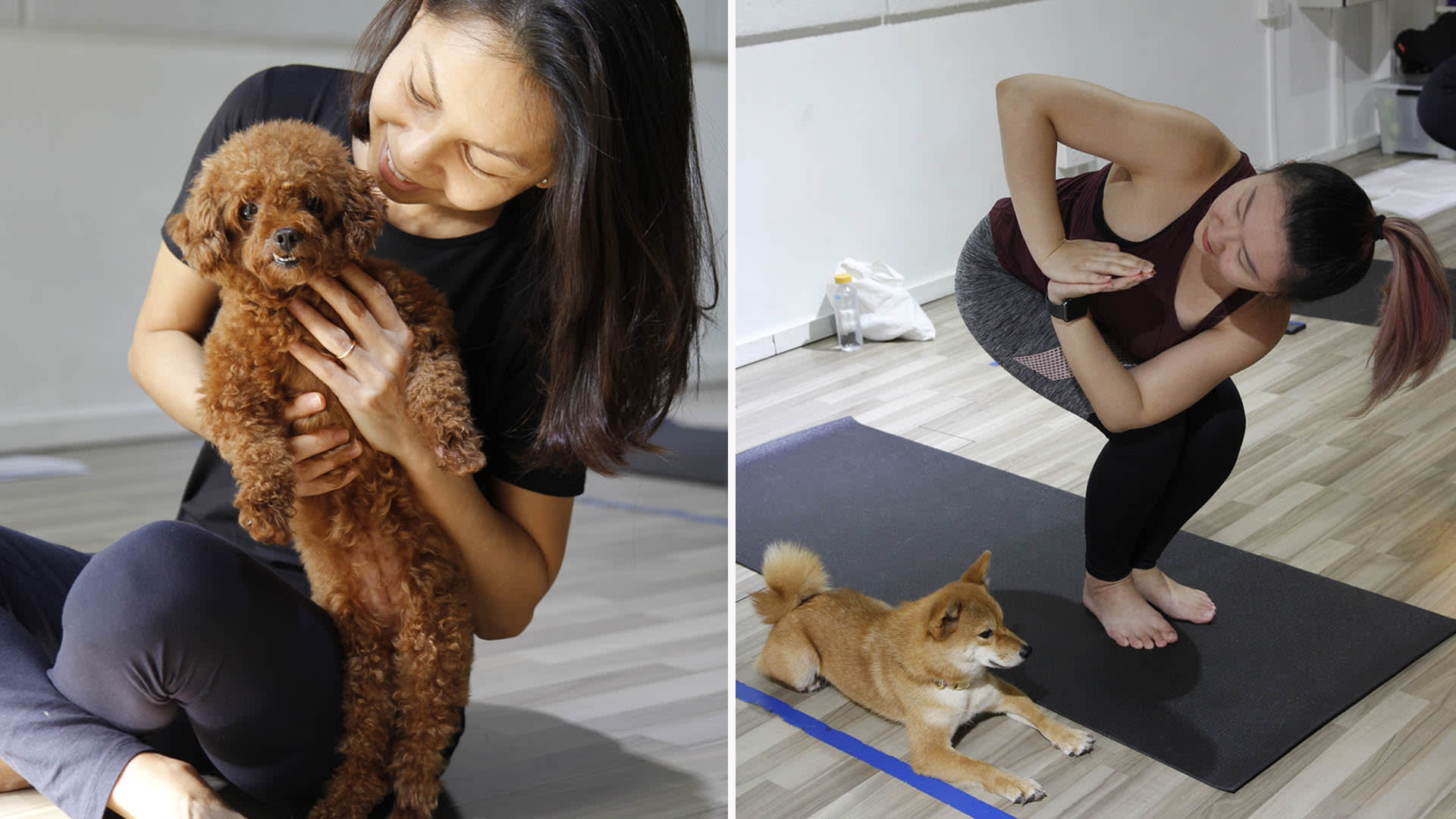 Dogs Are Allowed At This Yoga Studio — Bring Your Pup Along, Or Hang Out With Other Doggos If You Don't Have One