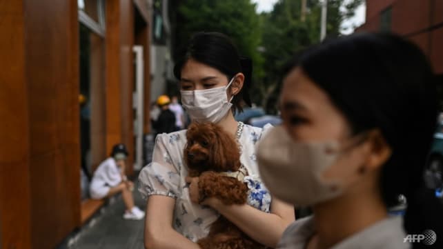 Shanghai reports zero COVID-19 cases for first time since outbreak