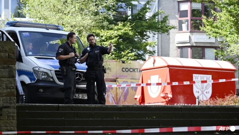 Suspected Festival Killer Arrested by German Police; Islamic State Claims Responsibility