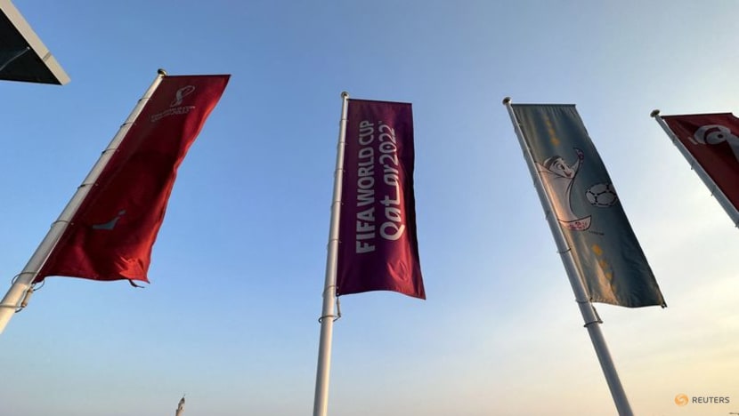 Qatar to stage Asian Cup, most likely in early 2024 Qatar to stage Asian Cup, most likely in early 2024