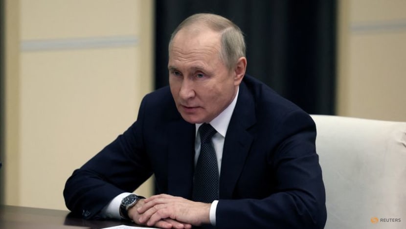 Russia senator suggests Putin might not issue decree ending mobilisation