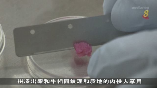 科学家利用技术 复制出日本和牛实验室培育肉