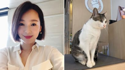 Taiwanese Actress Liu Yue Denies Abandoning Her Cat After Netizens Come Down Hard On Her