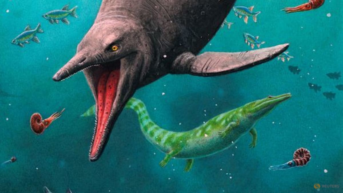 Fosil Tertua Reptil Laut Luar Biasa Ditemukan di Kawasan Arktik