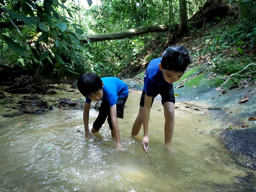 Two young participants explore a stream during an outdoor education programme held by Forest School Singapore at Rifle Range Nature Park on Sept 13, 2018.