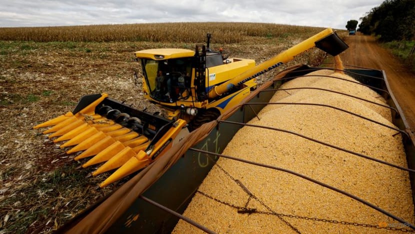 Brazil posts record trade surplus for November boosted by sales to China Brazil posts record trade surplus for November boosted by sales to China