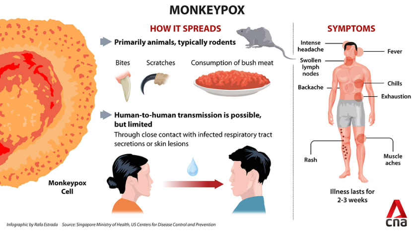 Explainer: Why monkeypox cases are rising in Europe - CNA