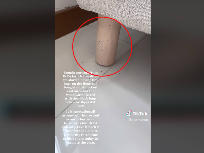 A screenshot from a TikTok video showing tiny insects crawling on the leg of a sofa supposedly bought from Ikea Singapore.